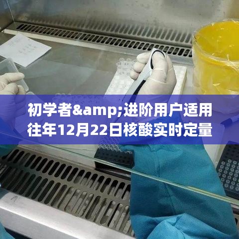 往年核酸实时定量检测操作全解析，适合初学者与进阶用户的操作指南