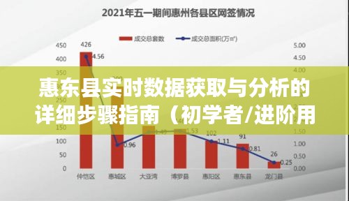 惠东县实时数据获取与分析，初学者与进阶用户的详细步骤指南