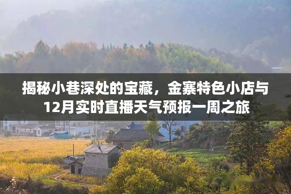 金寨小巷宝藏与实时天气预报，一周探店之旅