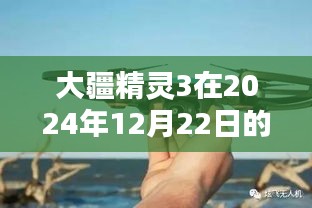 大疆精灵3实时画面表现深度评测，2024年12月22日体验分享