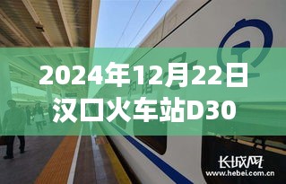 汉口火车站D3007次列车实况直播，体验与观察纪实