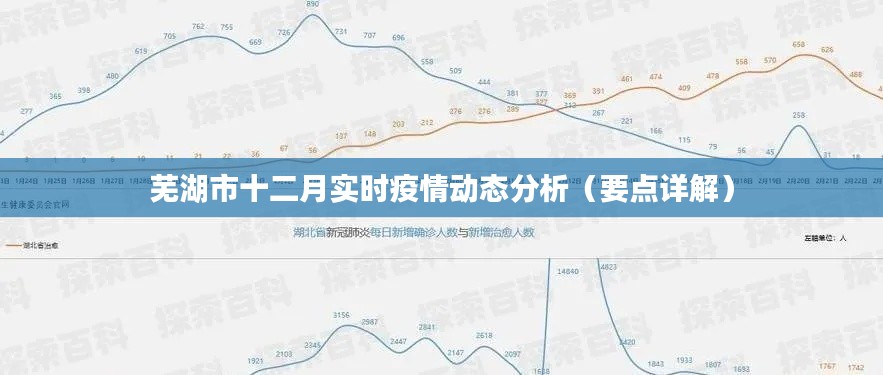 芜湖市十二月疫情实时动态解析及要点详解