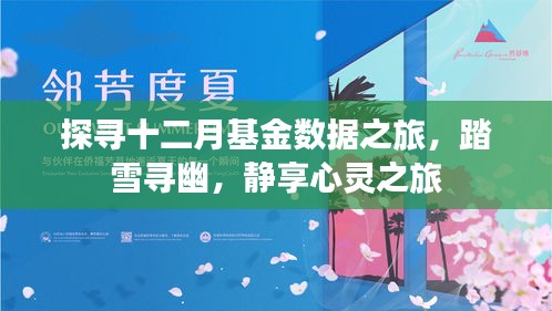 十二月基金数据探寻之旅，踏雪静享，心灵投资之旅