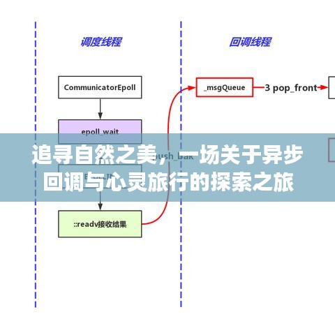 异步回调与心灵旅行的自然探索之旅