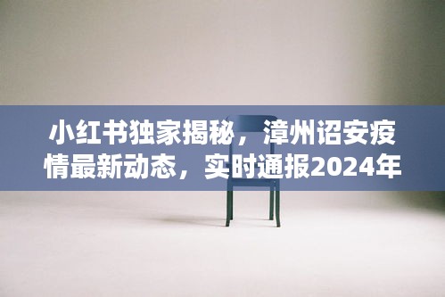 小红书独家揭秘，漳州诏安疫情最新动态通报（实时更新至2024年12月22日）