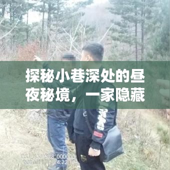 探秘冬日暖阳下隐藏于小巷深处的特色小店秘境