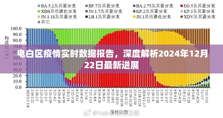 电白区疫情实时数据报告更新，最新进展深度解析（2024年12月22日）