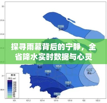 雨幕背后的宁静探索，全省降水实时数据与心灵之旅的融合体验