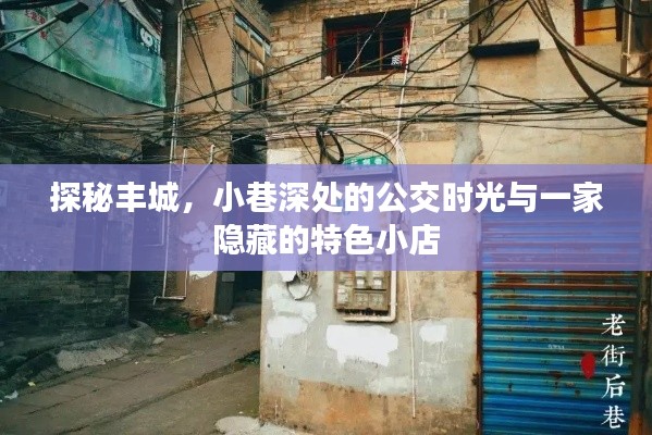 探秘丰城，公交时光下的隐秘小巷与特色小店之旅