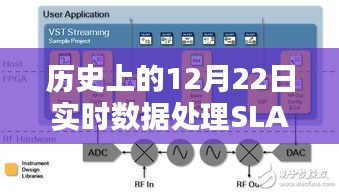 2024年12月 第102页