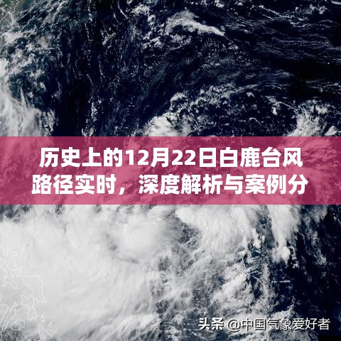 深度解析，历史上的白鹿台风路径实时追踪与案例分析（附案例分析）