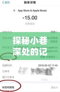 探秘小巷特色店铺的记账奥秘，支付宝实时查账指南