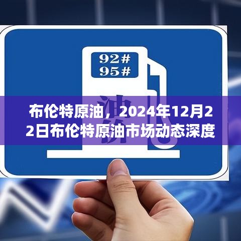 布伦特原油市场动态深度解析与评测报告，聚焦2024年12月22日动态分析