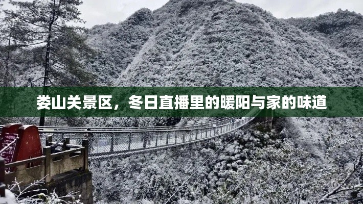 娄山关景区冬日直播，暖阳映照下的家味之旅