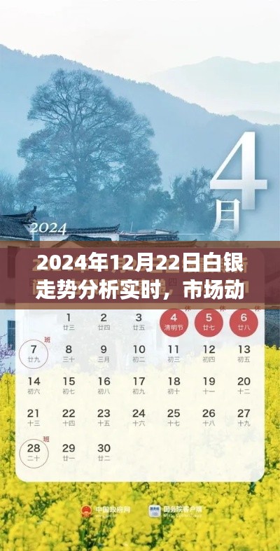 2024年白银市场走势分析，实时动态、策略探讨与投资建议