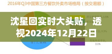 沈星回实时大头贴，多元观点下的2024年12月22日现象透视