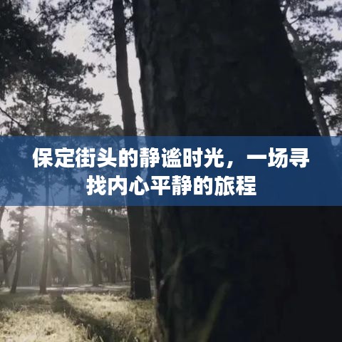 保定街头，寻找内心平静的旅程