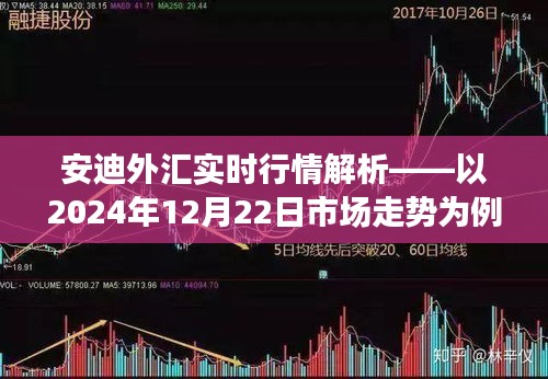 安迪外汇实时行情解析，2024年市场走势深度剖析