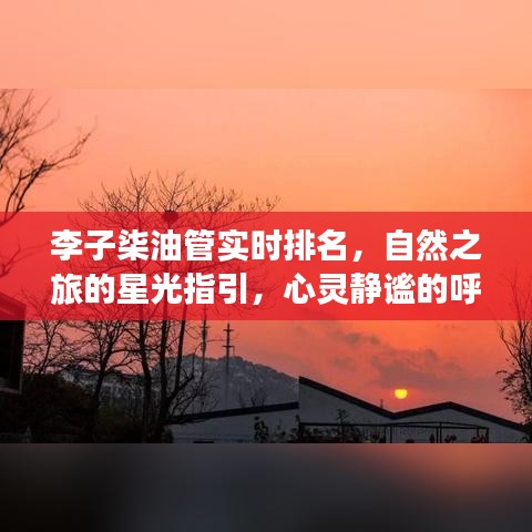 李子柒油管之旅，心灵静谧的自然星光指引与呼唤