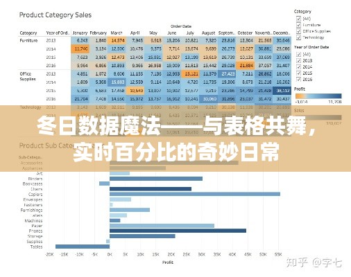 冬日数据魔法，与表格共舞，实时百分比探索日常