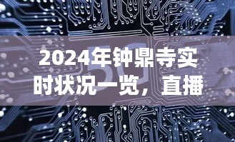 钟鼎寺实时状况深度解读，2024年直播视频一览