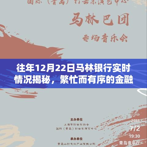 马林银行年终金融盛宴，繁忙有序，实时揭秘