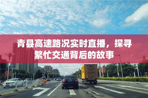 青县高速实时路况直播，探寻繁忙交通背后的故事