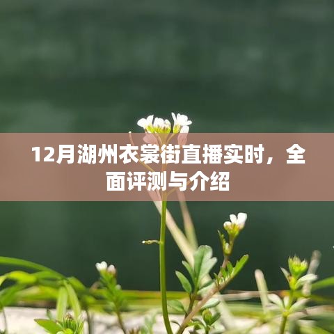 湖州衣裳街直播盛典，实时评测与详细介绍