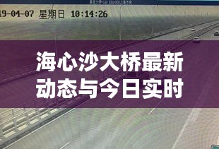 海心沙大桥最新动态与实时路况指南（适合初学者与进阶用户）