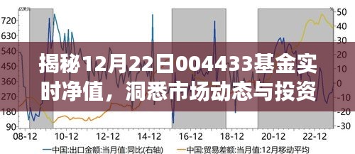 揭秘基金实时净值，洞悉市场动态与投资策略，聚焦12月22日00443 基金动态分析！