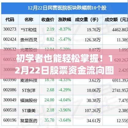 初学者股票资金流向图实时解读指南，掌握股票动向，轻松解读步骤（12月22日版）