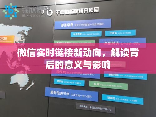 微信实时链接新动向深度解析，背后的意义与影响探讨