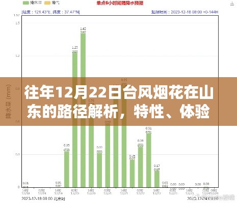 往年台风烟花在山东的路径解析，特性、体验、竞品对比与用户洞察报告