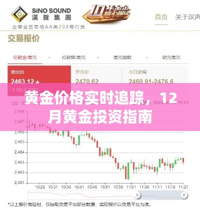 黄金投资指南，实时追踪黄金价格，洞悉投资机遇