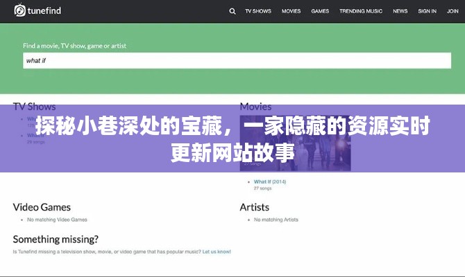 探秘小巷深处的宝藏，资源实时更新网站的神秘故事揭秘