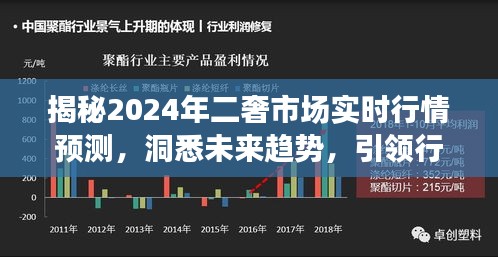 揭秘未来趋势，2024年二奢市场实时行情预测与行业风向引领