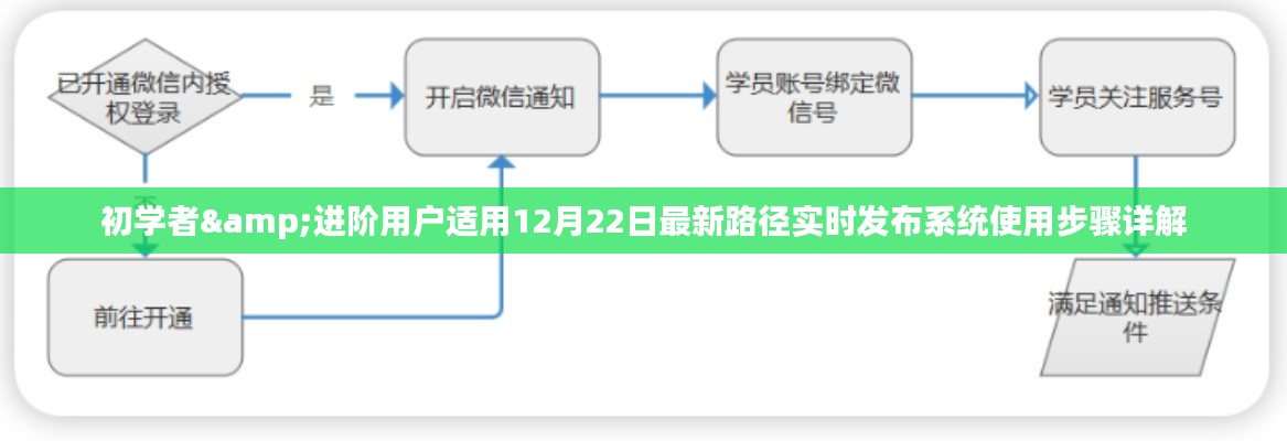 初学者与进阶用户指南，最新路径实时发布系统使用详解（12月22日更新）