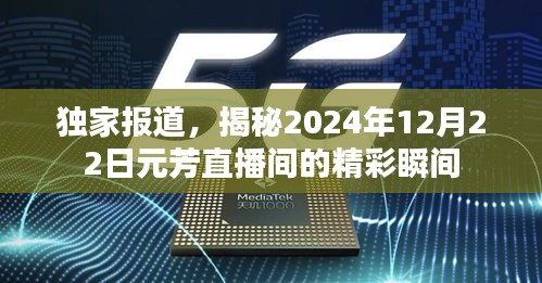 独家揭秘，元芳直播间2024年12月22日精彩瞬间回顾