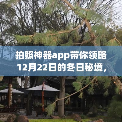 冬日秘境探索，拍照神器app引领内心平静之旅