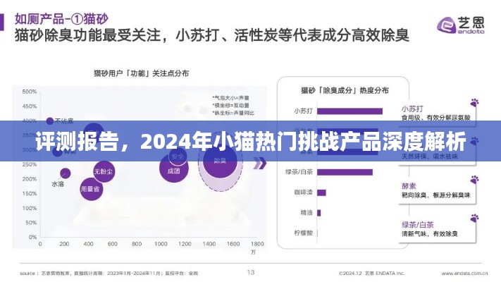 深度解析，2024年小猫热门挑战产品评测报告