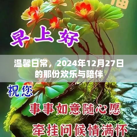 温馨日常，欢乐与陪伴的美好时刻（2024年12月27日）