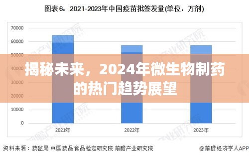 揭秘未来趋势，2024年微生物制药热门展望