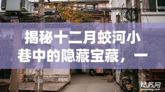 十二月蛟河小巷隐藏宝藏，特色小店的独特魅力探索