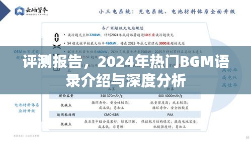 深度评测报告，揭秘2024年热门BGM语录与深度解读