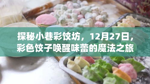 探秘小巷彩饺坊，彩色饺子魔法之旅，唤醒味蕾的盛宴（12月27日）