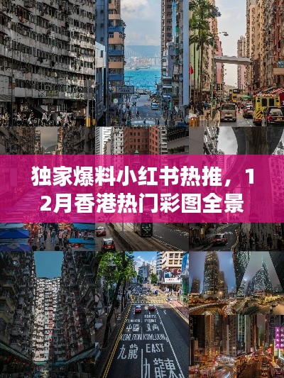 独家爆料，小红书热推12月香港热门彩图全景解析揭秘！