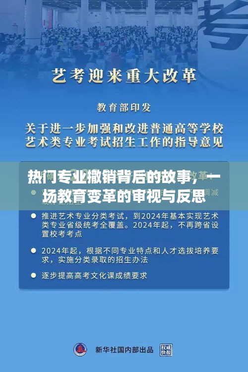 热门专业撤销背后的故事，教育变革的审视与反思