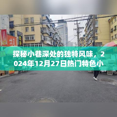 探秘小巷深处的独特风味，热门特色小店之旅，2024年12月27日记录之旅启程