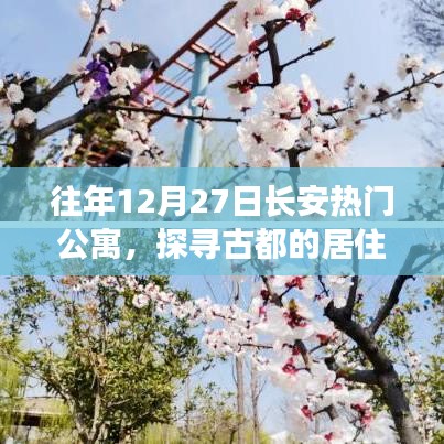 古都长安热门公寓探寻，居住风尚与投资潜力分析