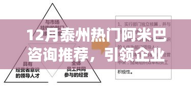 阿米巴经营模式深度解析，引领泰州企业走向成功的咨询推荐指南